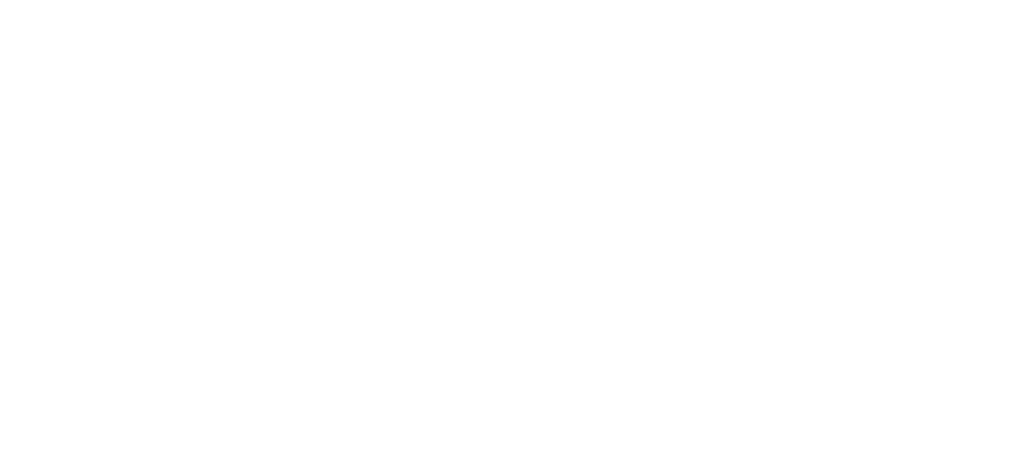 Pellicole anti sole Brescia Graphic&co - BTECH Logo