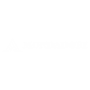 Mondadori Bookstore